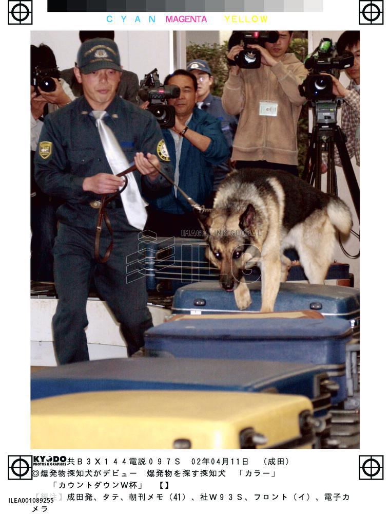 Sniffer dogs debut at Narita airport