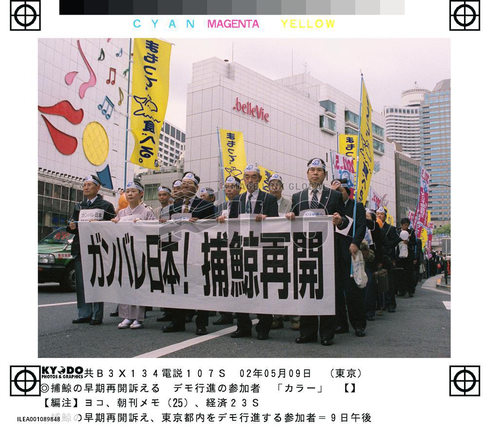 Pro-whaling group seeks resumption of commercial whaling