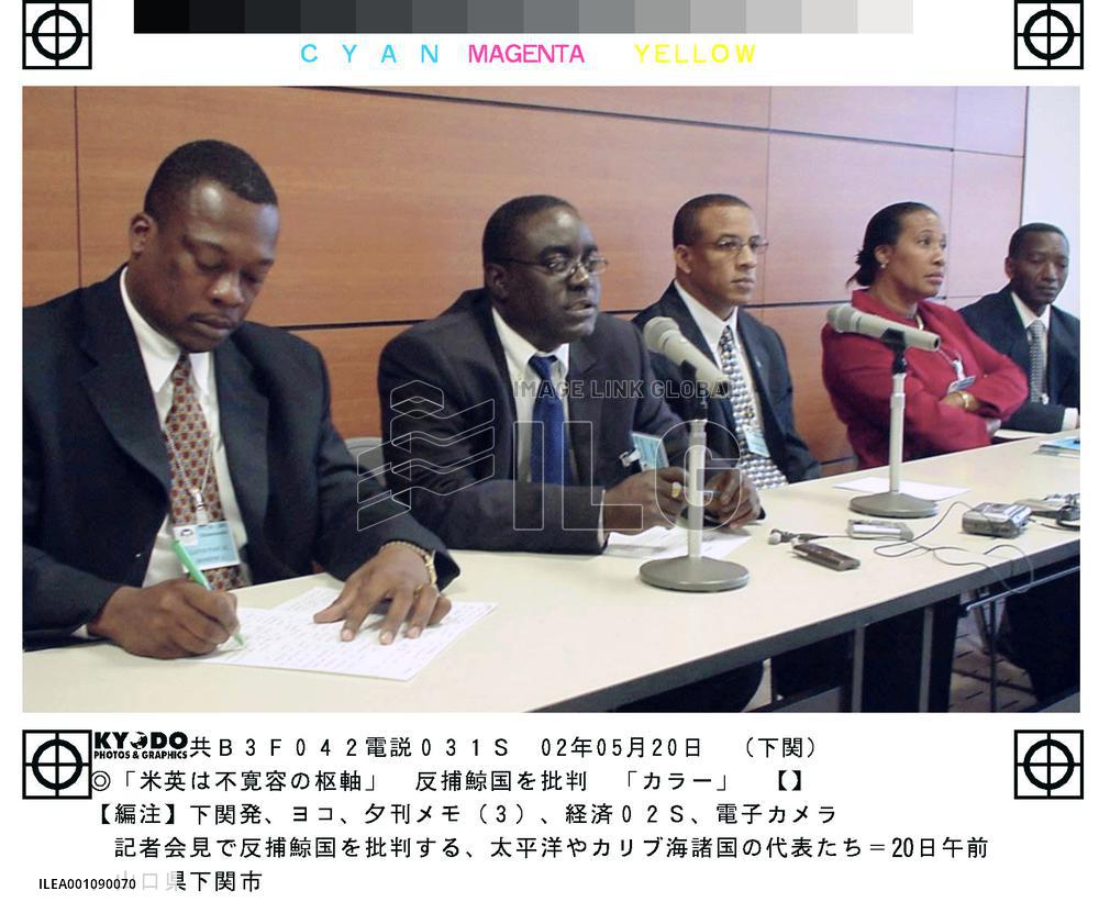 11 developing nations call on IWC to resume whaling