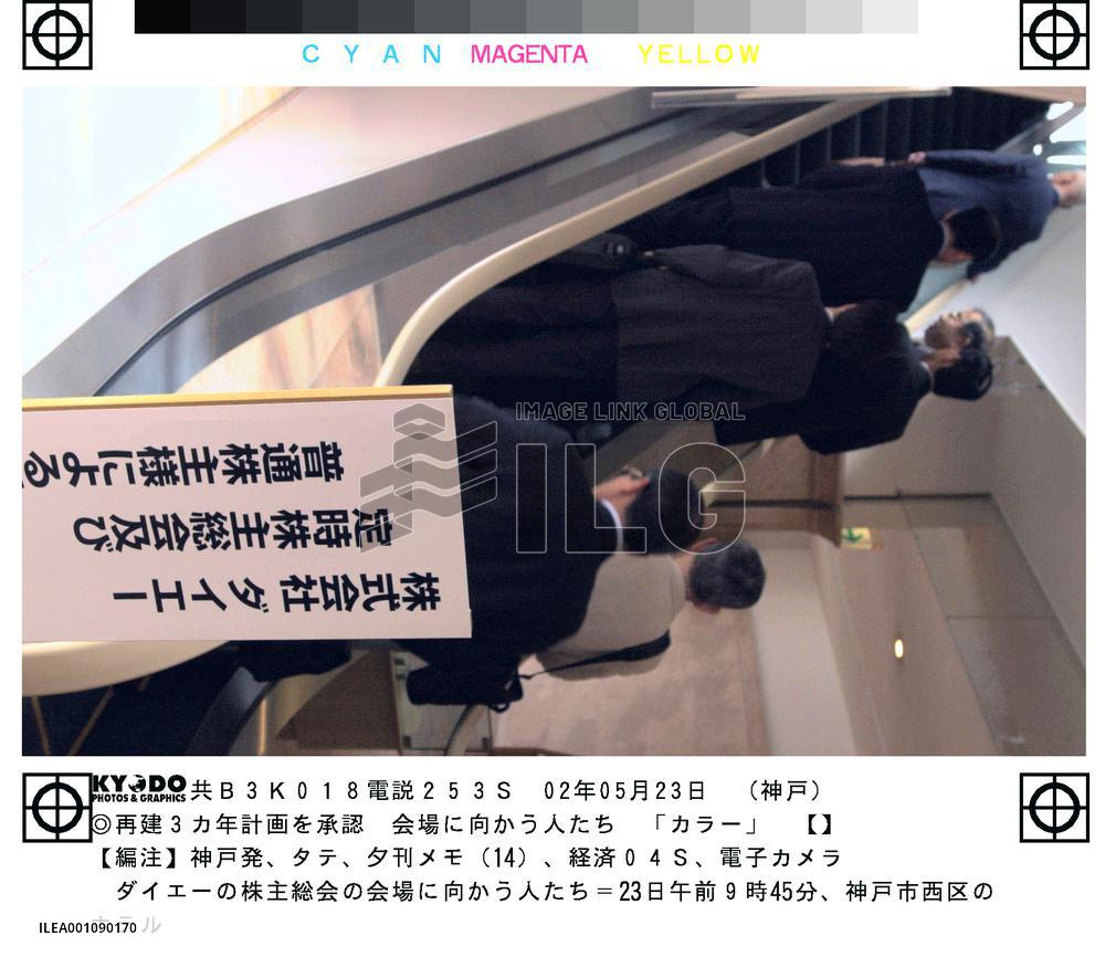 Daiei shareholders approve new revival plan