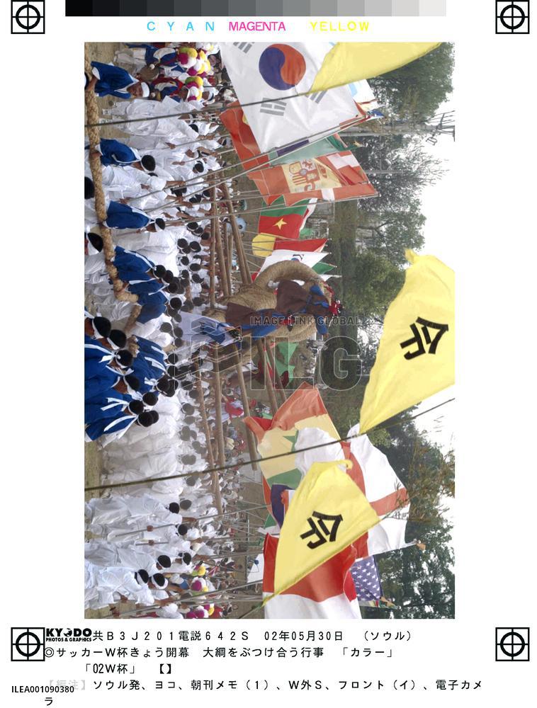 (1)South Koreans celebrate World Cup