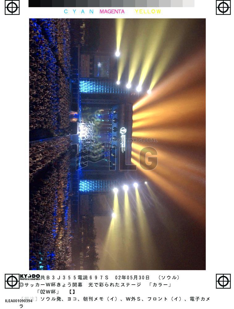 (3)South Koreans celebrate World Cup