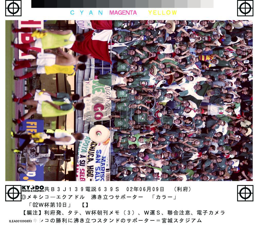(5)Supporters in Miyagi