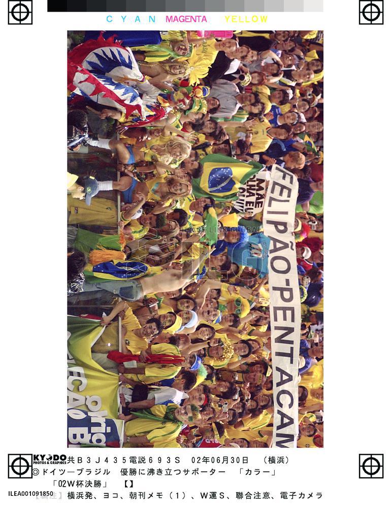 (28)Brazil vs Germany