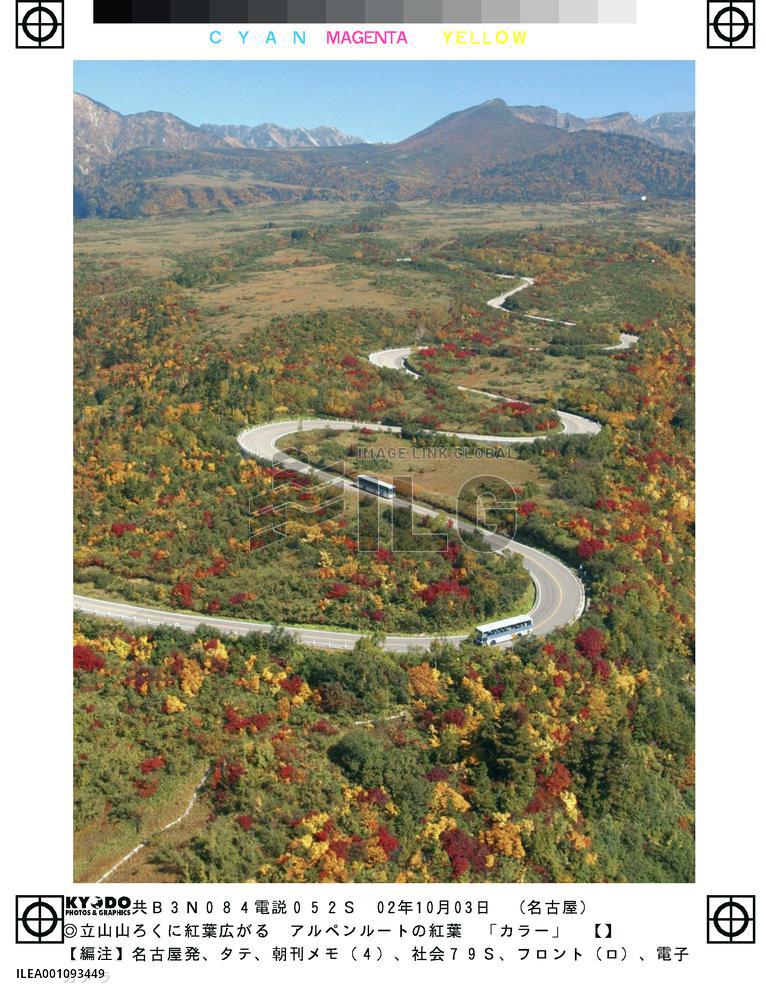 Autumn scene in Tateyama mountain area