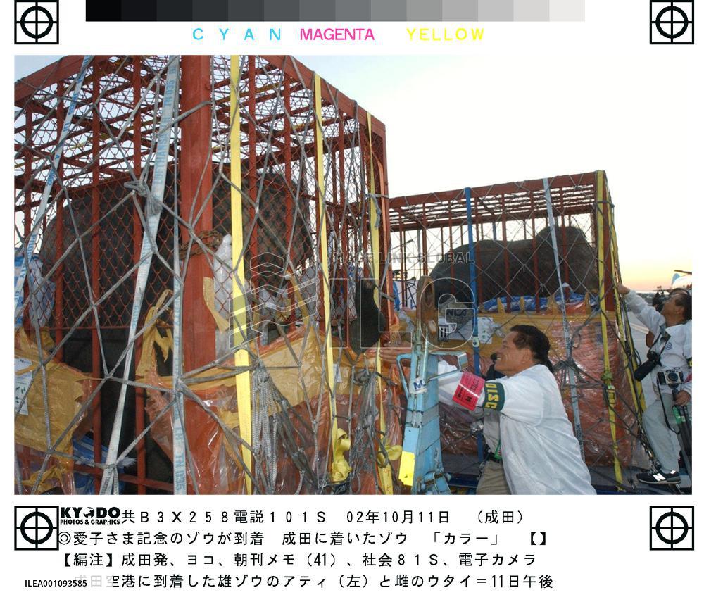 (2)Pair of Thai elephants donated as gift to Princess Aiko