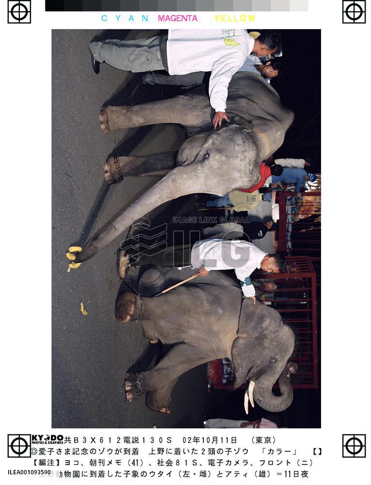 Thai elephants arrive at Tokyo's Ueno Zoo