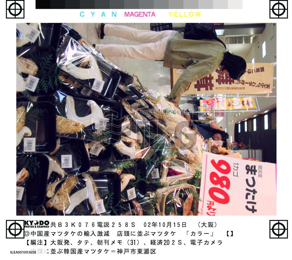 Matsutake imports from China fall on illegal pesticide residue