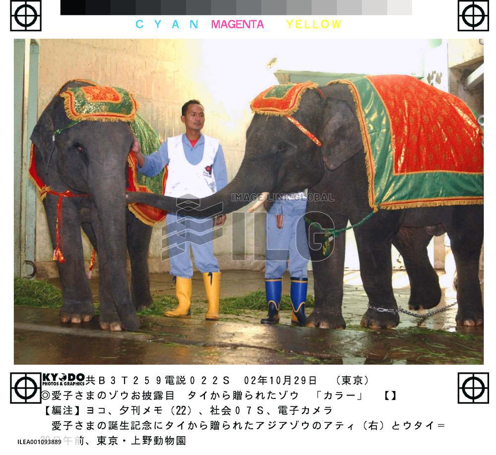 Thai elephants for Princess Aiko introduced to public