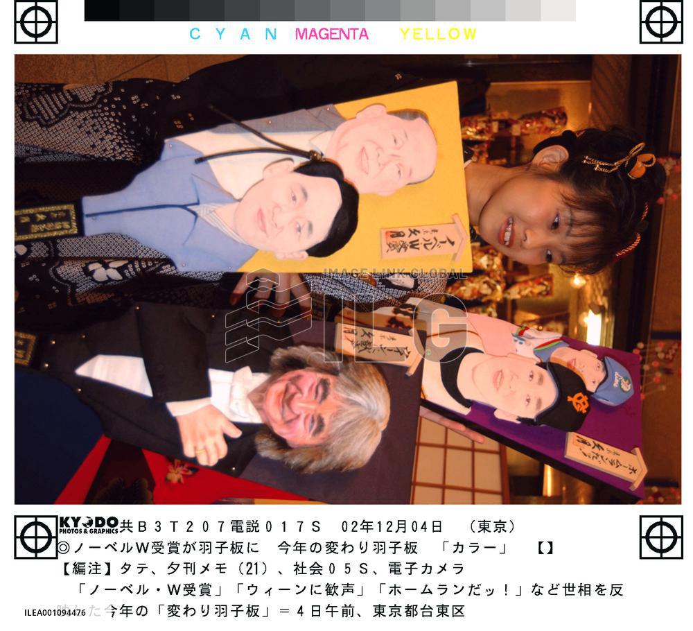 Hagoita reflect 2002