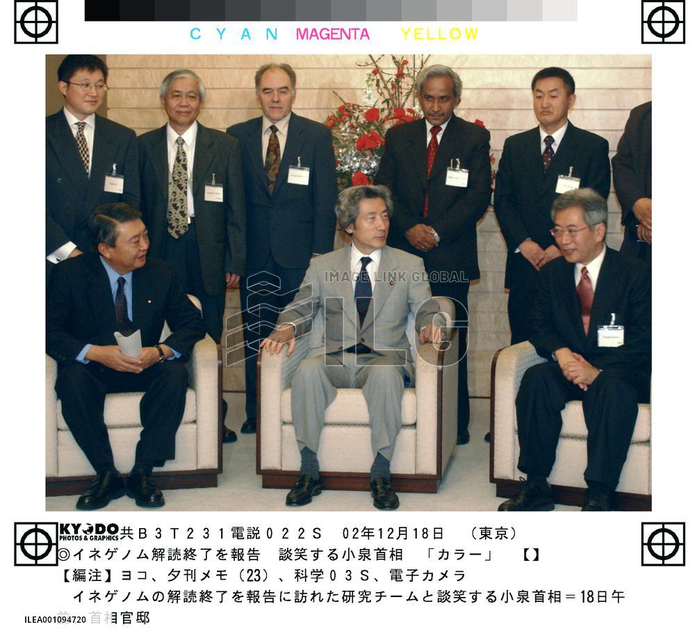 Research team says rice genome decoding completed