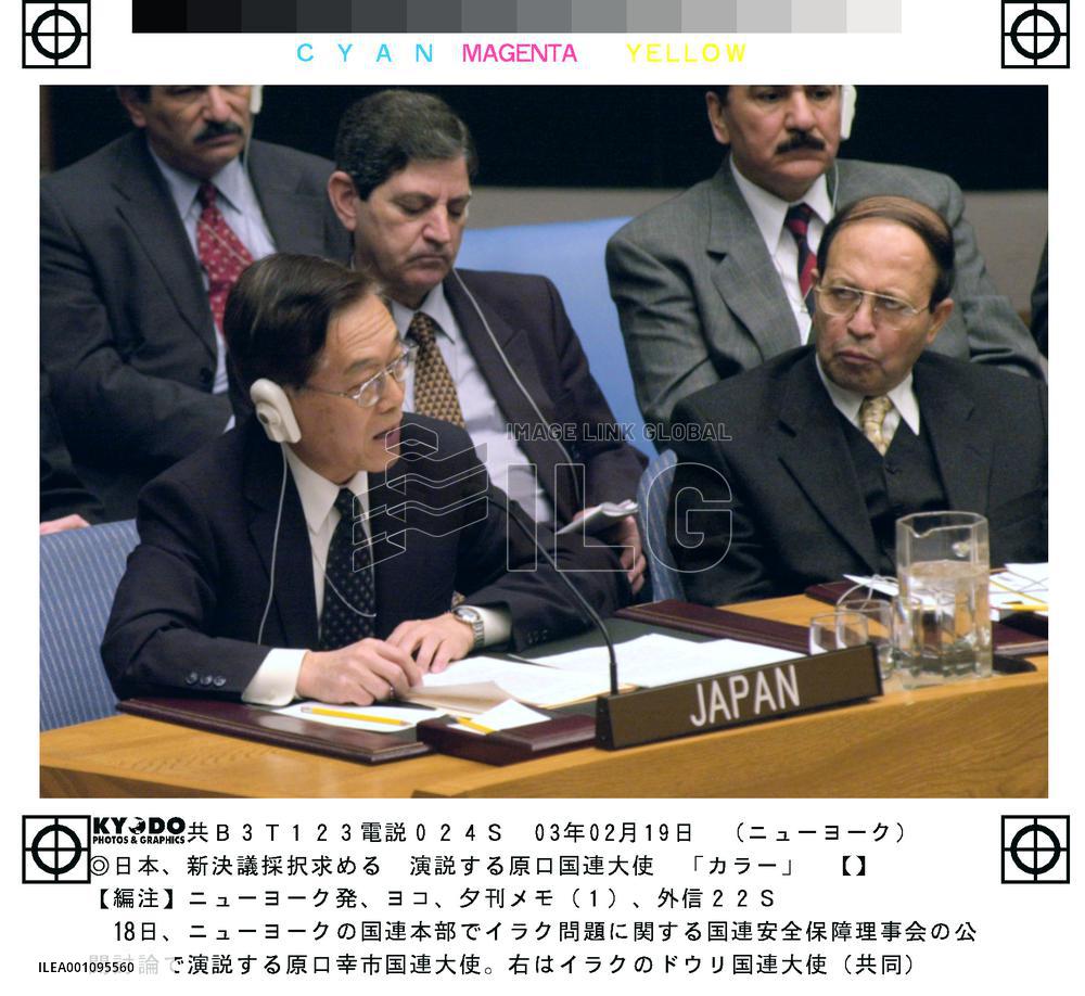 Japan calls new U.N. resolution on Iraq 'desirable'