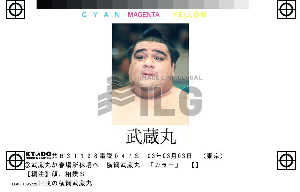 Yokozuna Musashimaru to pull out of spring sumo