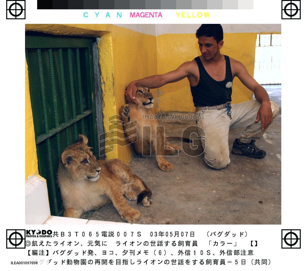 (1)Baghdad zoo looted