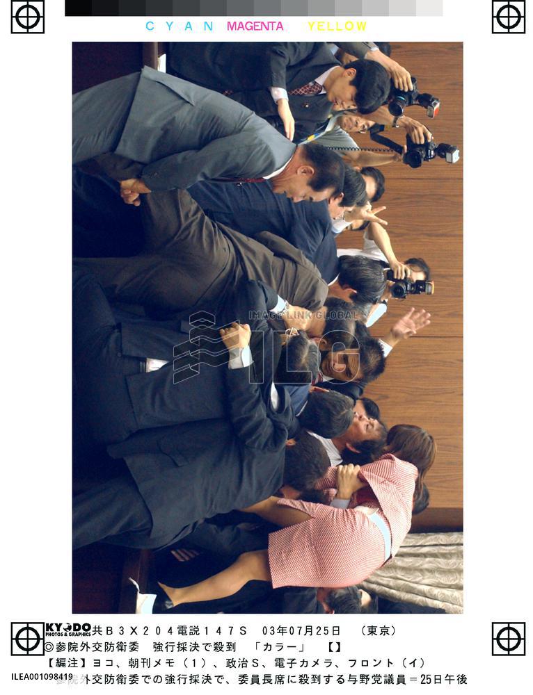 Upper house panel OKs SDF Iraq bill, passage likely soon