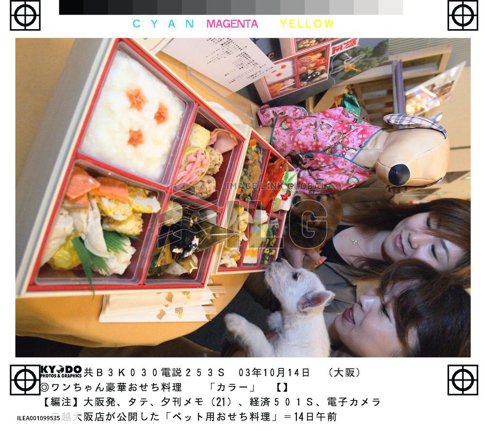 Mitsukoshi Osaka to sell New Year's dishes for dogs