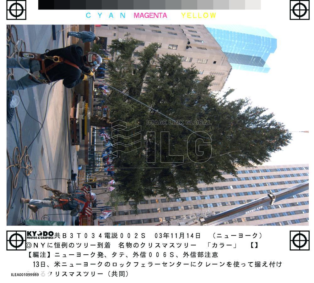 Chritmas tree set up in N.Y.'s Rockfeller Center