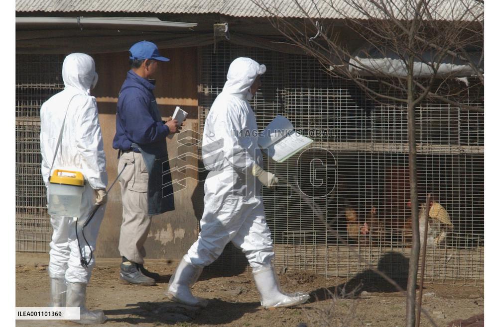 (1)Oita gov't starts inspections of poultry farms for bird flu