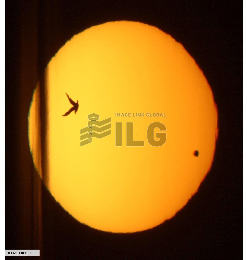 Venus transit observed in Hokkaido, Tokyo metropolitan area