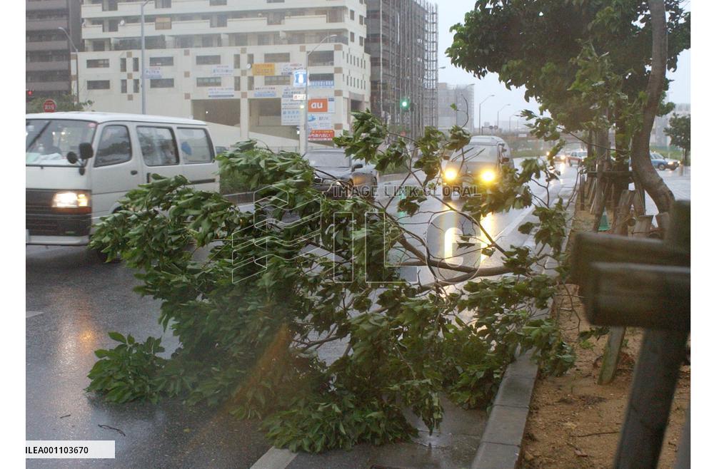 Powerful typhoon heading north
