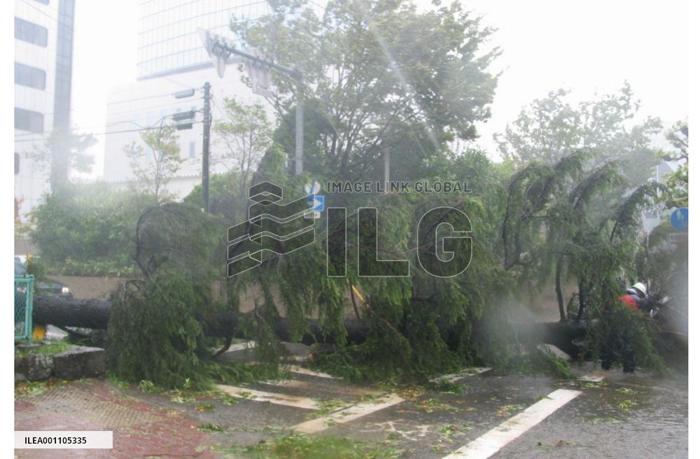 (2)Typhoon Chaba hits Kyushu