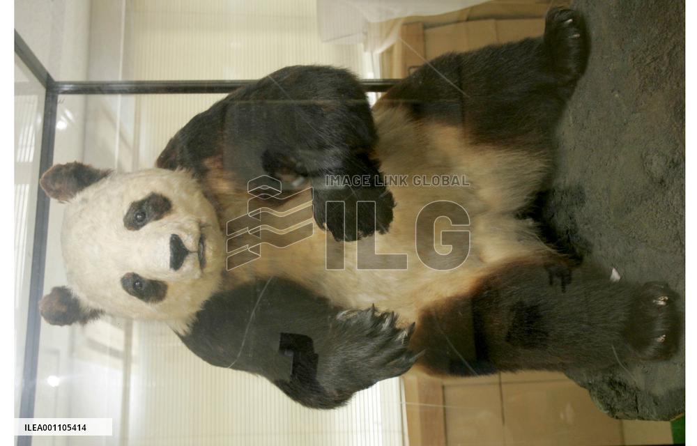 2 men nabbed for alleged sale of real stuffed panda