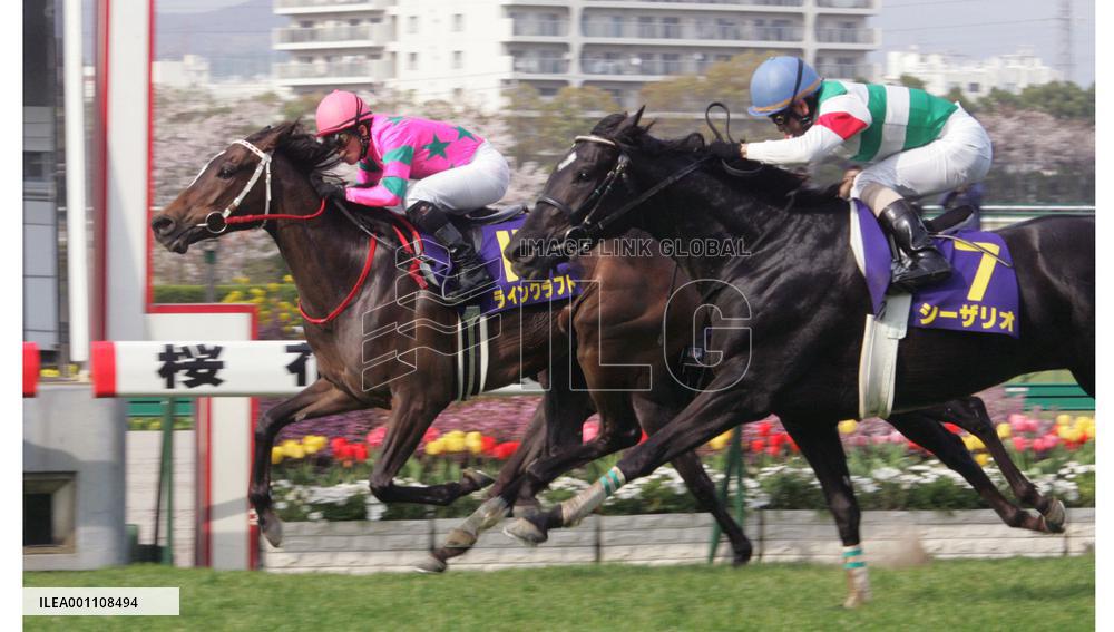 Rhein Kraft wins Oka-sho
