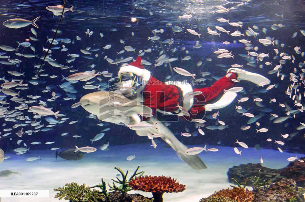 Santa Claus at Tokyo aquarium