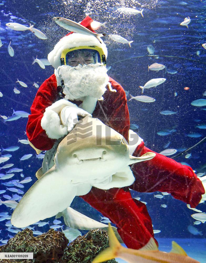Santa Claus at Tokyo aquarium