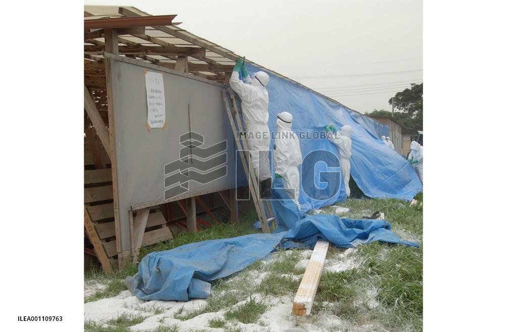Ibaraki begins culling chickens at bird flu-hit farm