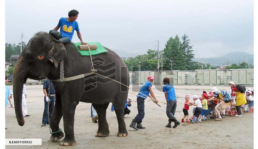 Elephant plays tug-of-war with child quake victims