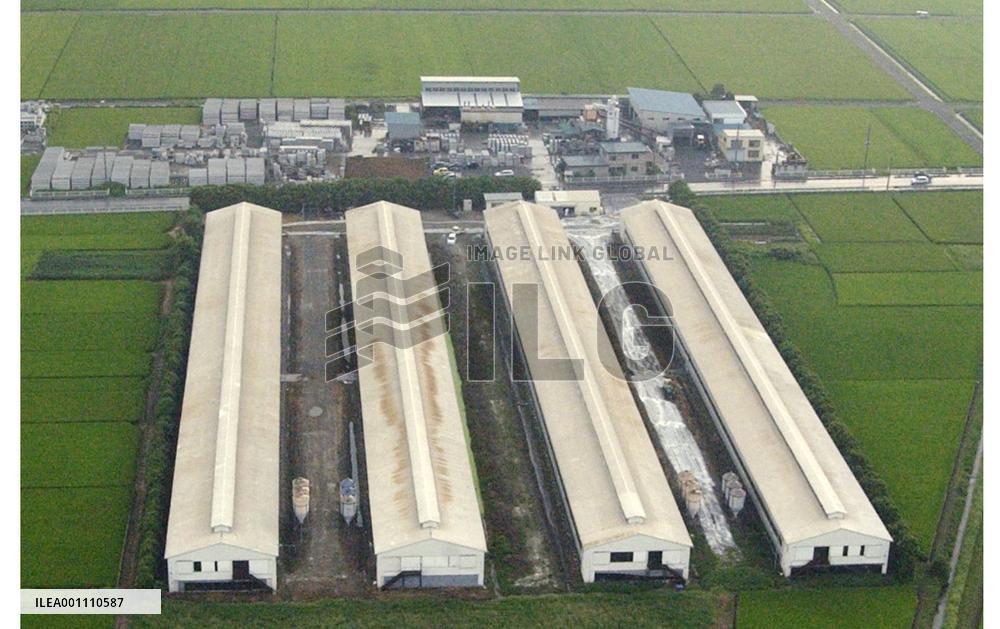 Bird flu detected at Saitama Pref. chicken farm