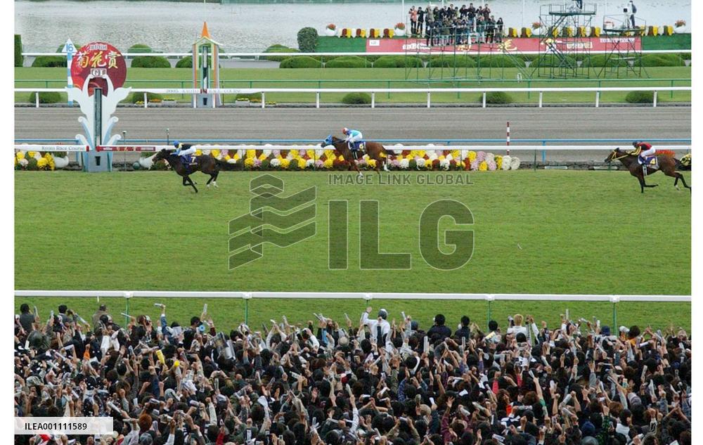 Deep Impact achieves triple crown with Kikka-sho win