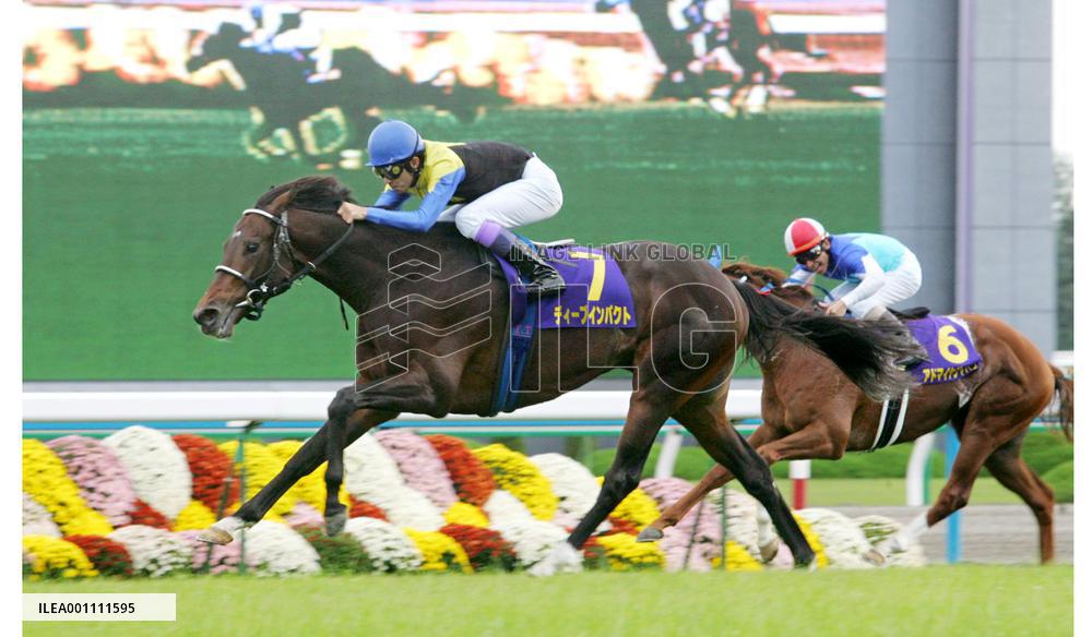 Deep Impact achieves triple crown with Kikka-sho win