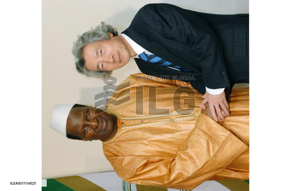 Koizumi calls for Africa's cooperation in UNSC reform