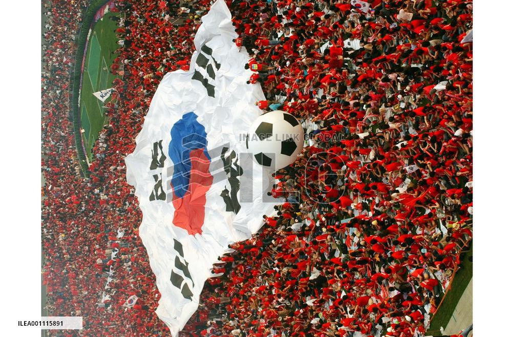 Supporters at World Cup matches
