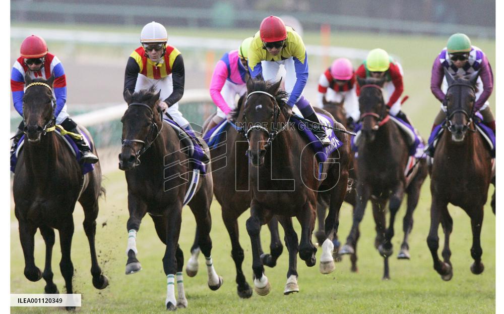 Deep Impact wins Arima Kinen to mark retirement
