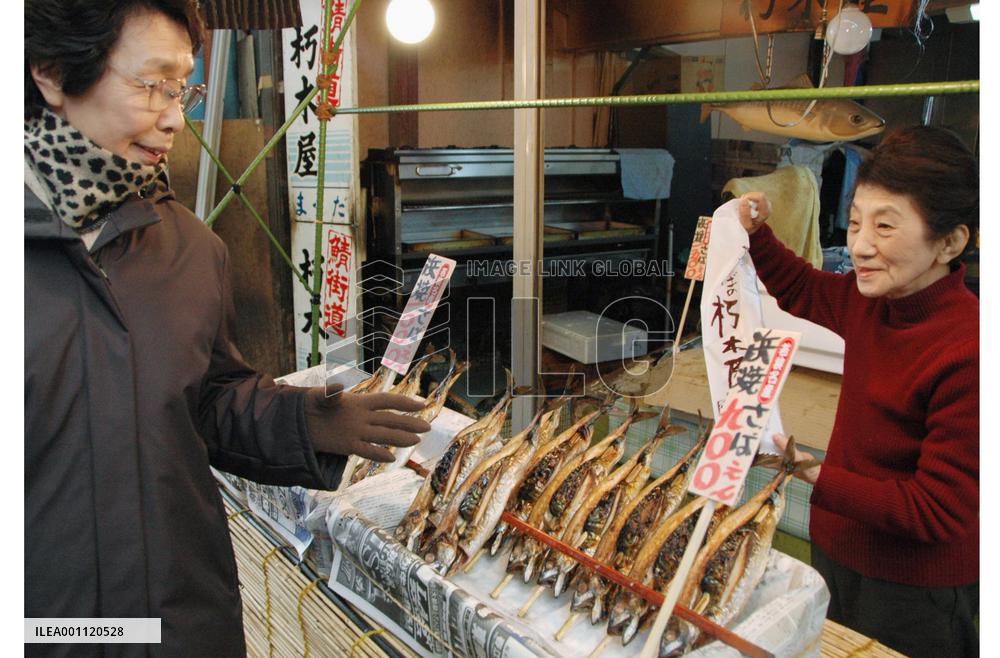 Artificial raising of mackerels under way
