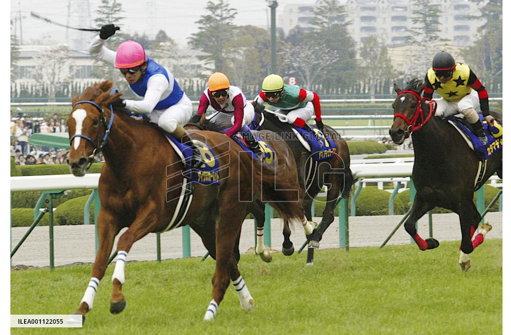 Daiwa Scarlet wins Oka-sho