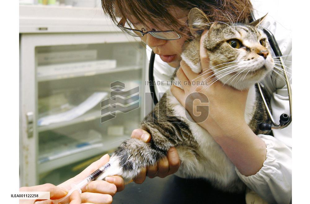 Cancer screening method for cats developed
