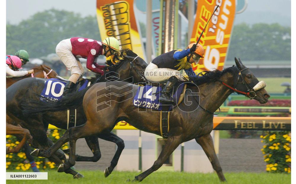 Pink Cameo takes NHK Mile Cup, largest payout for JRA