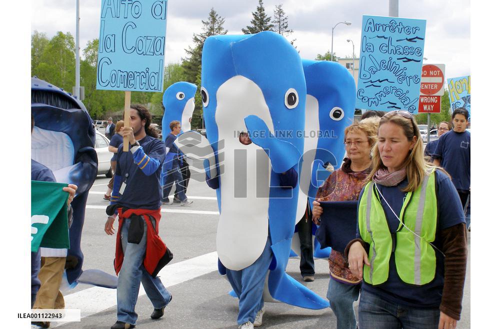 Anti-whaling groups march against pro-whaling countries