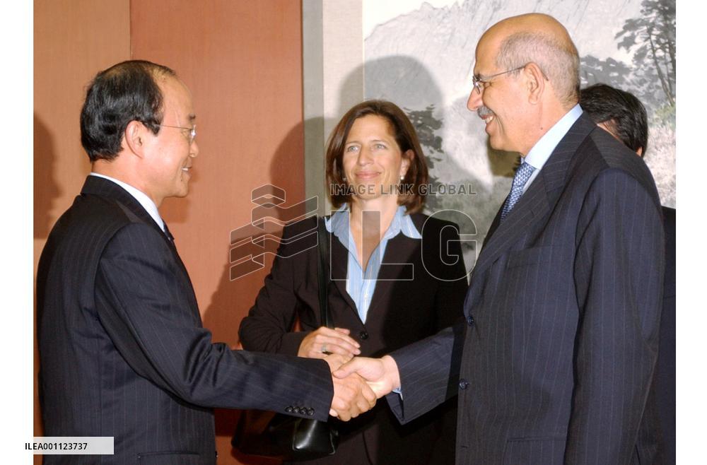 IAEA head optimistic about mission to monitor N. Korea nuke shutdown