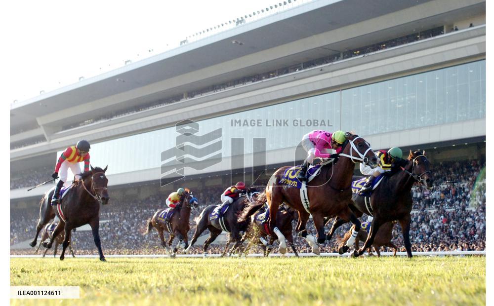 Asakusa Kings wins Kikka-sho