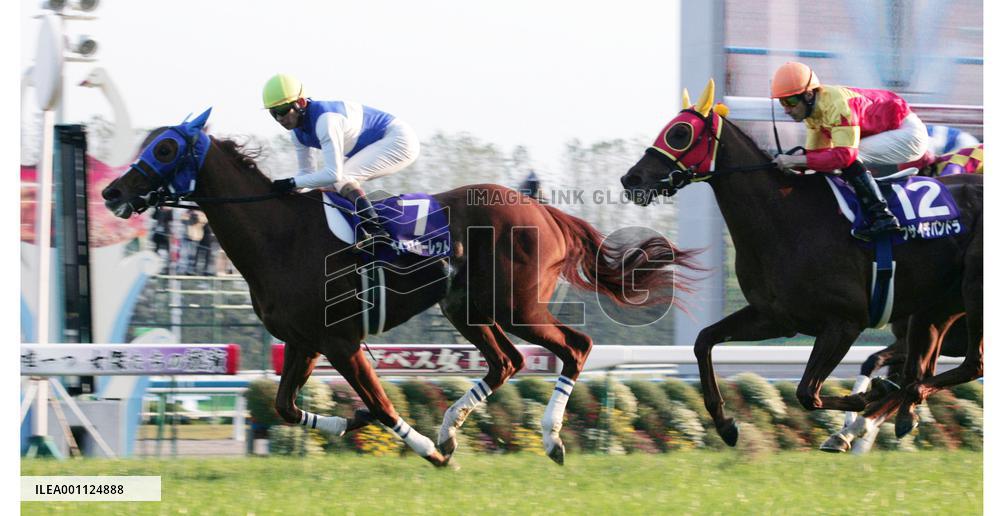 Daiwa Scarlet wins Queen Elizabeth Cup