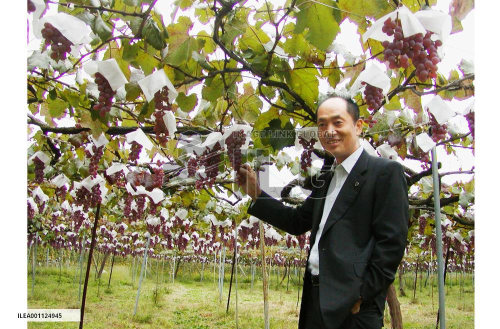 Koshu wine to make world debut in partnership with French chateau