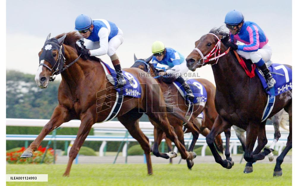 Daiwa major wins 2nd straight Mile Championship