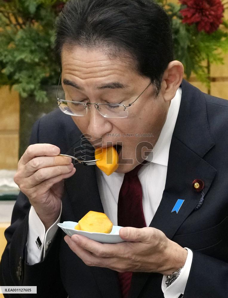 Japan's farm export promotion policy