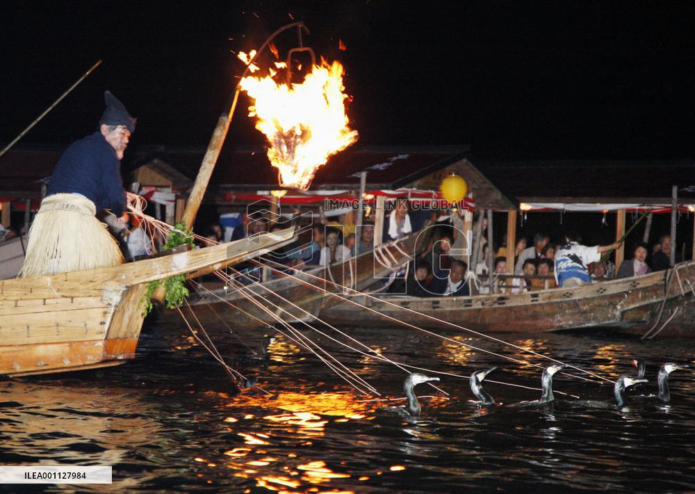 Cormorant fishing begins on Nagara River in Gifu Pref.