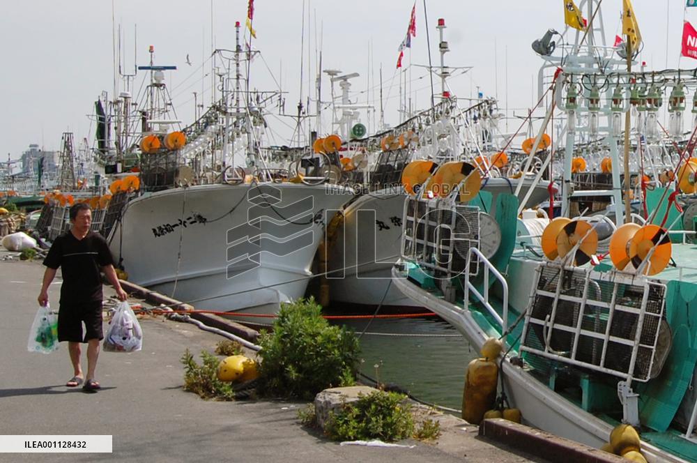 Squid vessels suspend operation due to rising fuel costs
